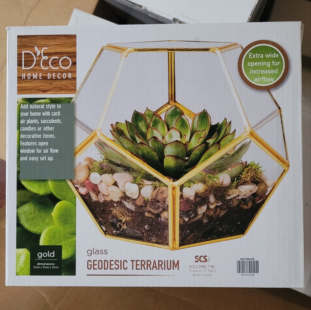 Glass terrarium